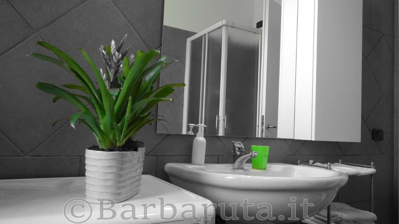 Barbaruta Rta Apartment โกรเซตโต ภายนอก รูปภาพ